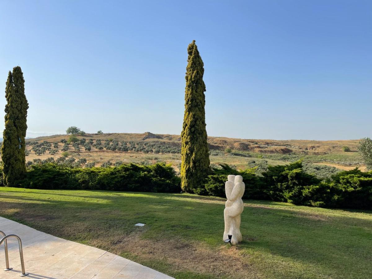 Villa Ba'Gefen Karmei Yosef Buitenkant foto